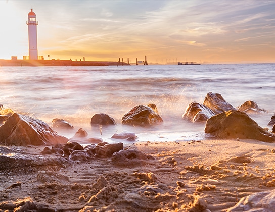 Zoekopdracht-in-hellevoetsluis-en-omgeving